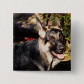 German Shepherd von Shirley Taylor Button (Vorderseite)