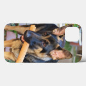 German Shepherd von Shirley Taylor Case-Mate iPhone Hülle (Rückseite (Horizontal))