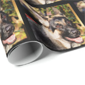 German Shepherd von Shirley Taylor Geschenkpapier (Rolleneckpunkt)