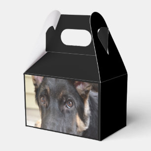German Shepherd von Shirley Taylor Geschenkschachtel