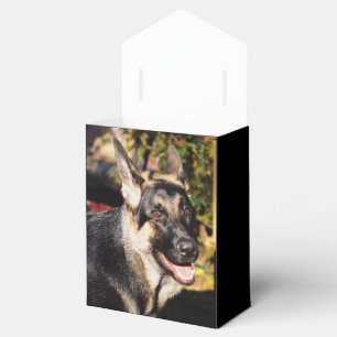 German Shepherd von Shirley Taylor Geschenkschachtel
