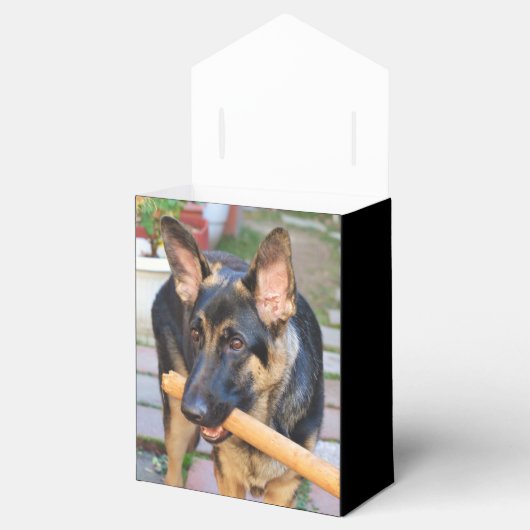 German Shepherd von Shirley Taylor Geschenkschachtel (Geöffnet)