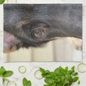 German Shepherd von Shirley Taylor Handtuch (Gefaltet)