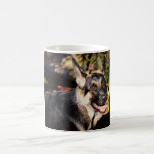 German Shepherd von Shirley Taylor Kaffeetasse