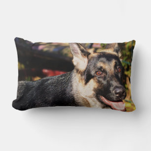 German Shepherd von Shirley Taylor Lendenkissen