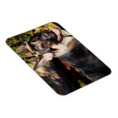 German Shepherd von Shirley Taylor Magnet (Rechte Seite)
