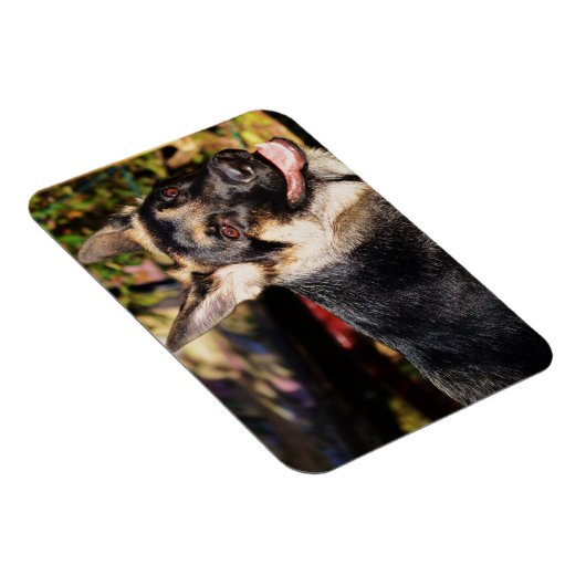 German Shepherd von Shirley Taylor Magnet (Rechte Seite)