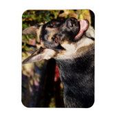 German Shepherd von Shirley Taylor Magnet (Vertikal)