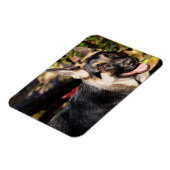 German Shepherd von Shirley Taylor Magnet (Linke Seite)
