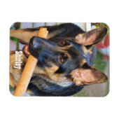 German Shepherd von Shirley Taylor Magnet (Horizontal)
