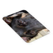 German Shepherd von Shirley Taylor Magnet (Rechte Seite)