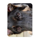 German Shepherd von Shirley Taylor Magnet (Vertikal)