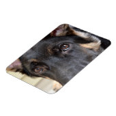 German Shepherd von Shirley Taylor Magnet (Linke Seite)