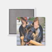 German Shepherd von Shirley Taylor Magnet (Vorderseite/Rückseite)