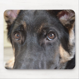 German Shepherd von Shirley Taylor Mousepad