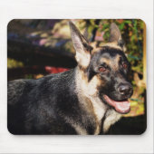 German Shepherd von Shirley Taylor Mousepad (Vorne)