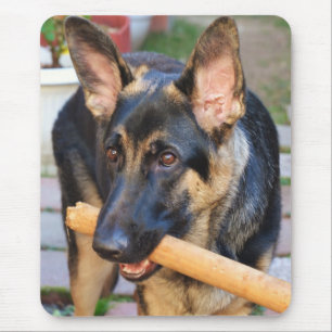 German Shepherd von Shirley Taylor Mousepad