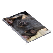 German Shepherd von Shirley Taylor Notizblock (Rechte Seite)