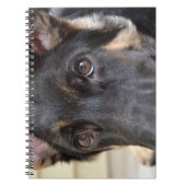 German Shepherd von Shirley Taylor Notizblock (Vorderseite)