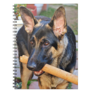 German Shepherd von Shirley Taylor Notizblock