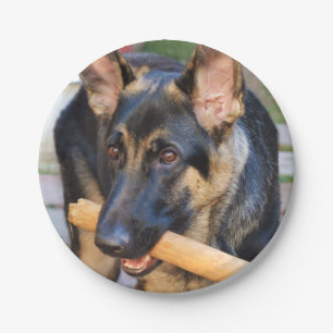 German Shepherd von Shirley Taylor Pappteller
