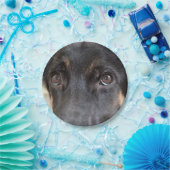 German Shepherd von Shirley Taylor Pappteller (Party)