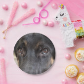 German Shepherd von Shirley Taylor Pappteller (Party)