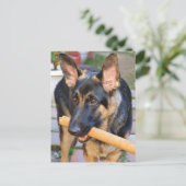 German Shepherd von Shirley Taylor Postkarte (Stehend Vorderseite)
