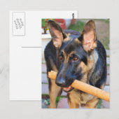 German Shepherd von Shirley Taylor Postkarte (Vorne/Hinten)