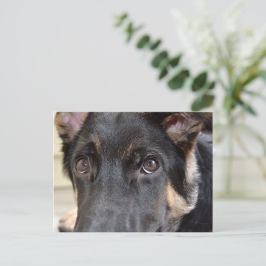 German Shepherd von Shirley Taylor Postkarte (Stehend Vorderseite)