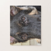 German Shepherd von Shirley Taylor Puzzle (Vertikal)