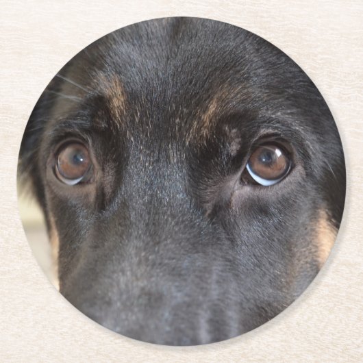 German Shepherd von Shirley Taylor Runder Pappuntersetzer (Vorderseite)