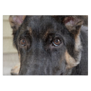 German Shepherd von Shirley Taylor Schneidebrett