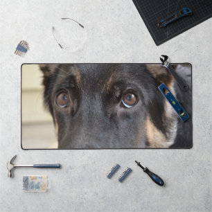 German Shepherd von Shirley Taylor Schreibtischunterlage