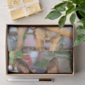 German Shepherd von Shirley Taylor Seidenpapier (Geschenk)