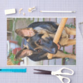 German Shepherd von Shirley Taylor Seidenpapier (Handwerk)