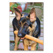 German Shepherd von Shirley Taylor Tischnummer (Rückseite)