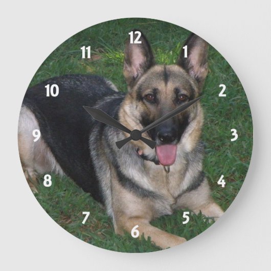 German Shepherd: Wall Clock Große Wanduhr (Vorderseite)