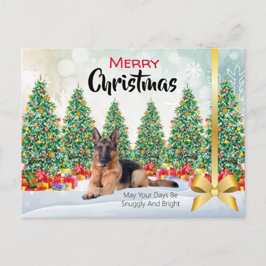 German Shepherd Weihnachtsgrüße Feiertagspostkarte (Vorderseite)