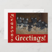German Shepherd Welppies Season Grüße Weihnachten (Vorne/Hinten)