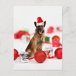 German Shepherdog w Christmas Gifts Weihnachtsmann Feiertagspostkarte