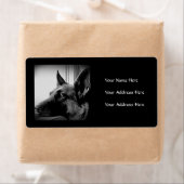 German Shepherds Address Labels (Insitu)