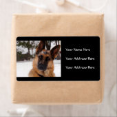 German Shepherds Address Labels (Insitu)