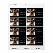 German Shepherds Address Labels (Vorne)