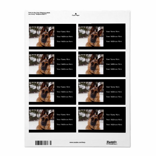 German Shepherds Address Labels (Vorne)