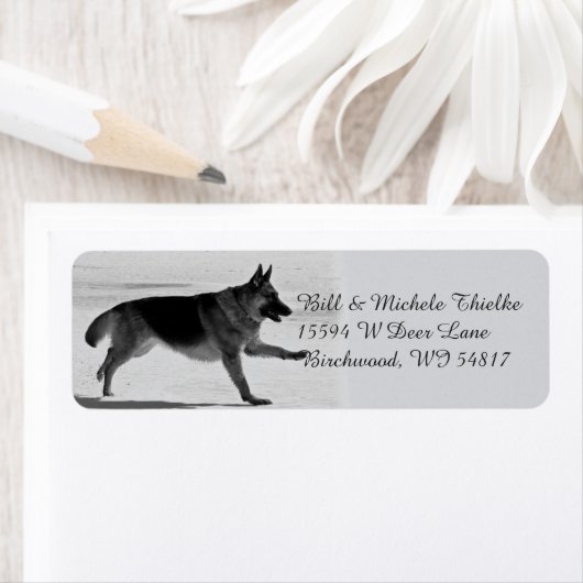 German Shepherds Address Labels (Insitu)