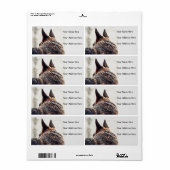 German Shepherds Address Labels (Vorne)