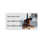 German Shepherds Address Labels Adressaufkleber (Vorne)