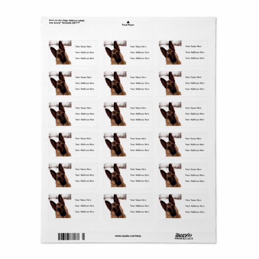 German Shepherds Address Labels Adressaufkleber (Vorne)