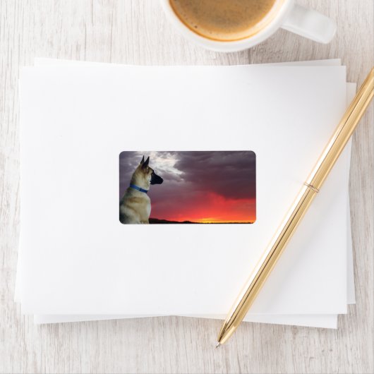 German Shepherds Address Labels Adressaufkleber (Insitu)